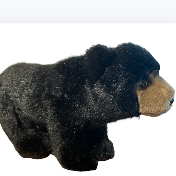 Webkinz Ganz Black Bear With Brown Nose Six Inch Collectible Stuffed Animal - Picture 2 of 4